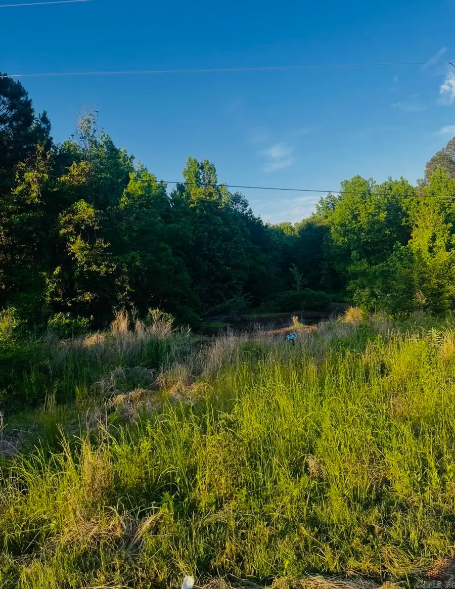 Lot 87 Parkwood, Monticello, AR 71655 - #2