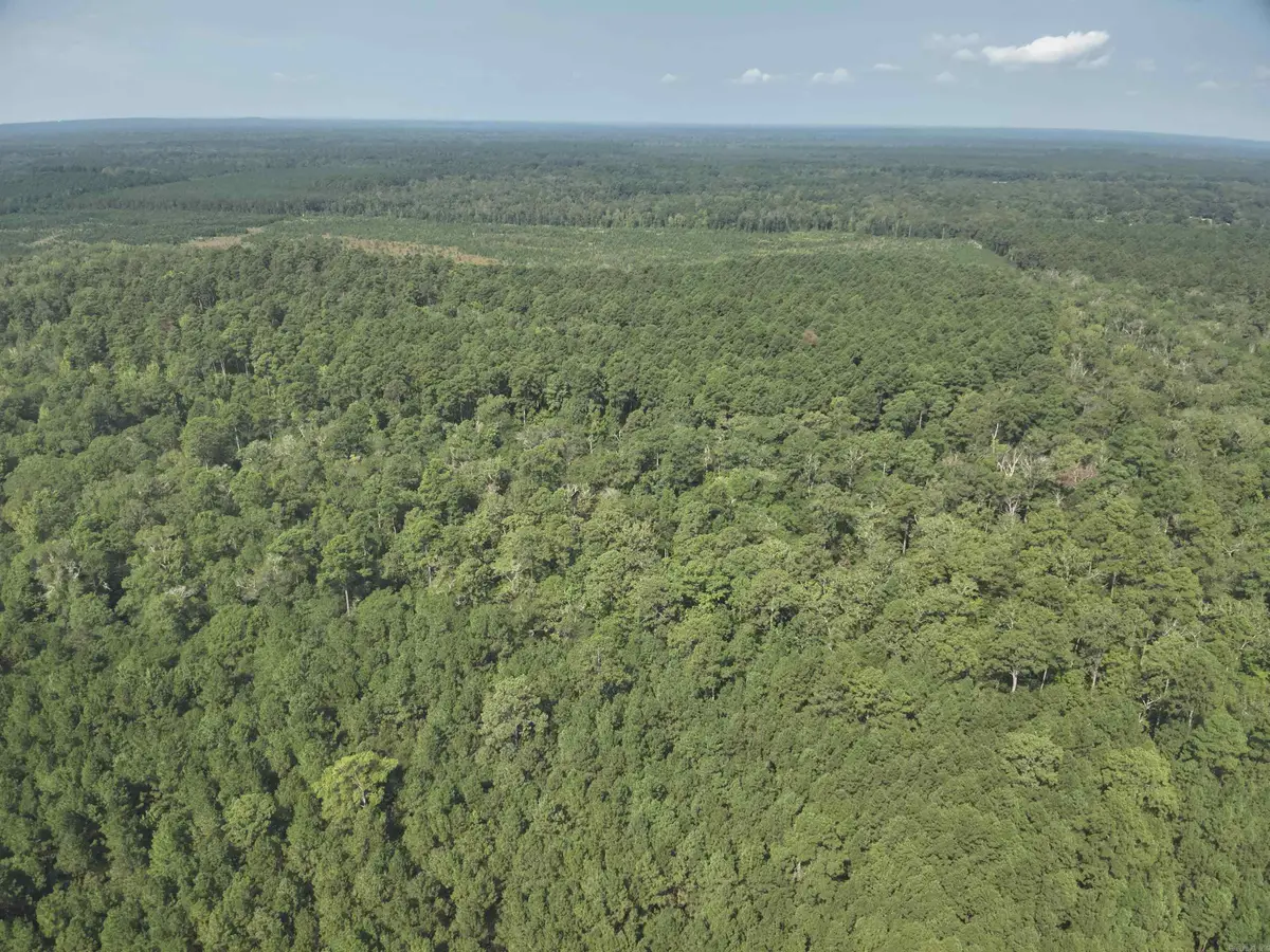 56 Field, Camden, AR 71701 - #1