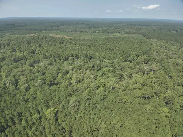 56 Field, Camden, AR 71701
