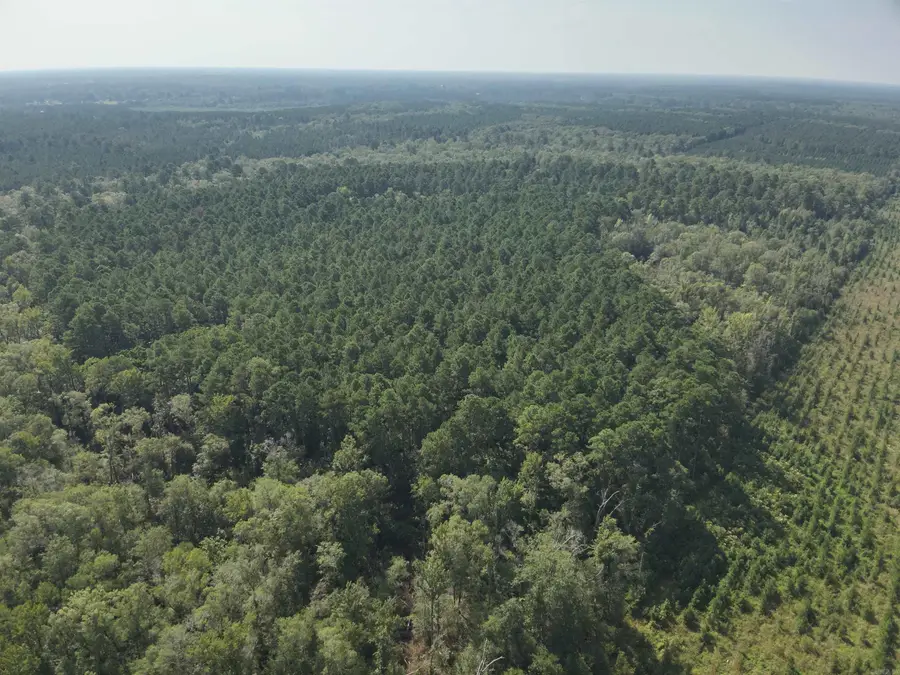 56 Field, Camden, AR 71701 - #2