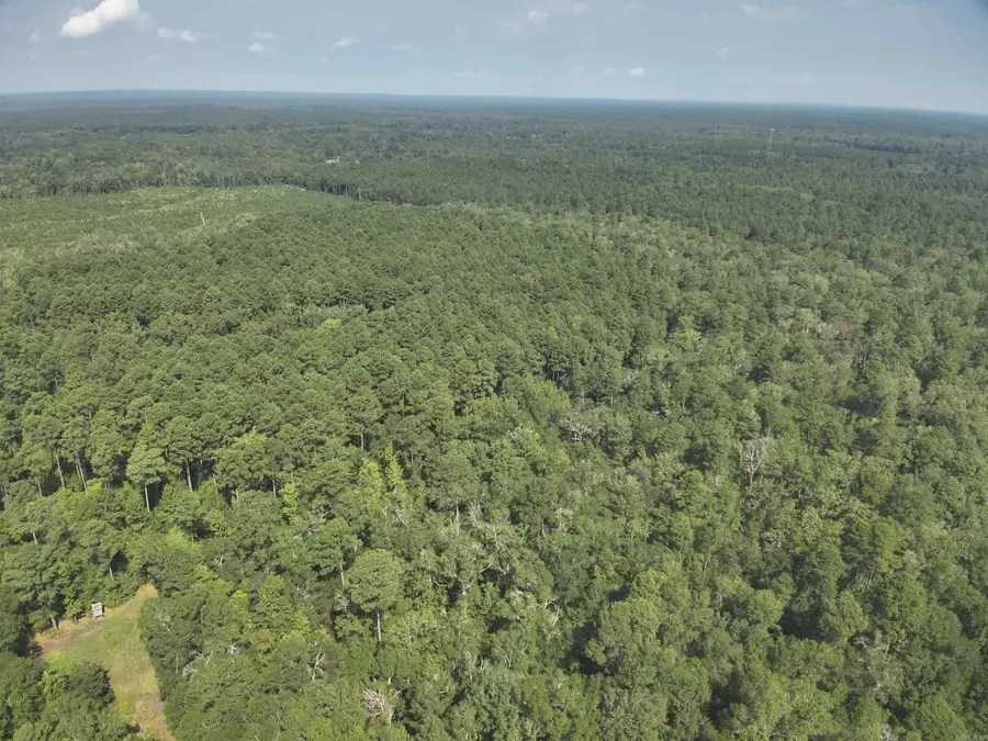 56 Field, Camden, AR 71701 - #3