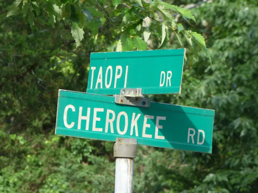 TBD Cherokee Road, Cherokee Village, AR 72529 - #2