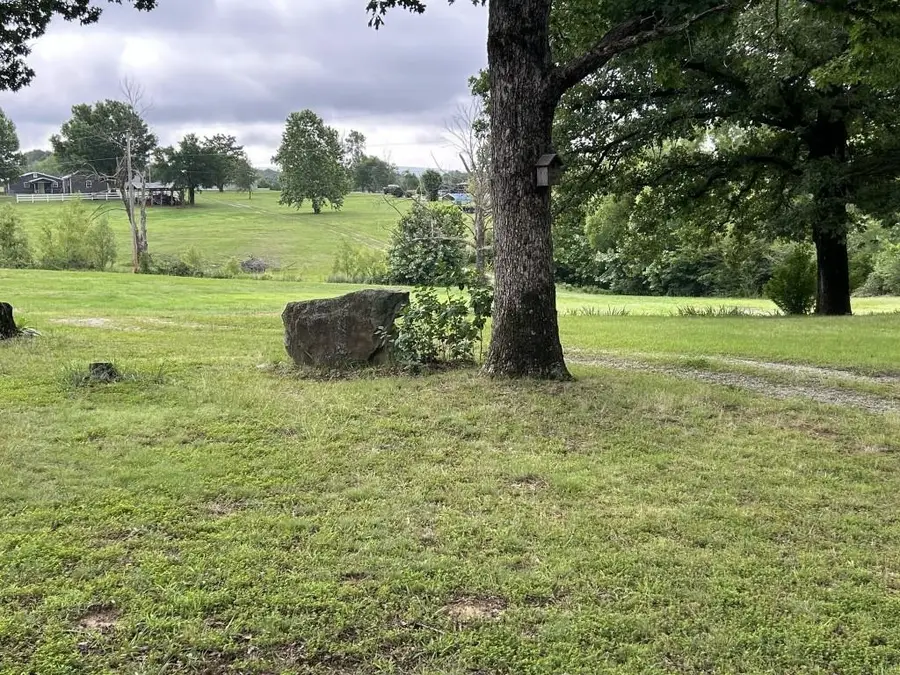 318 S Riggsville Drive, Mountain View, AR 72560 - #3