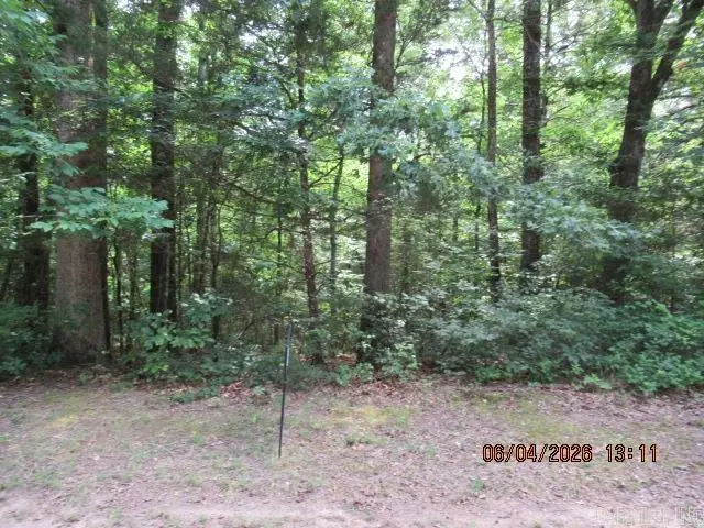 lot 65 block 4 Dave Creek Parkway, Fairfield Bay, AR 72088 - #1