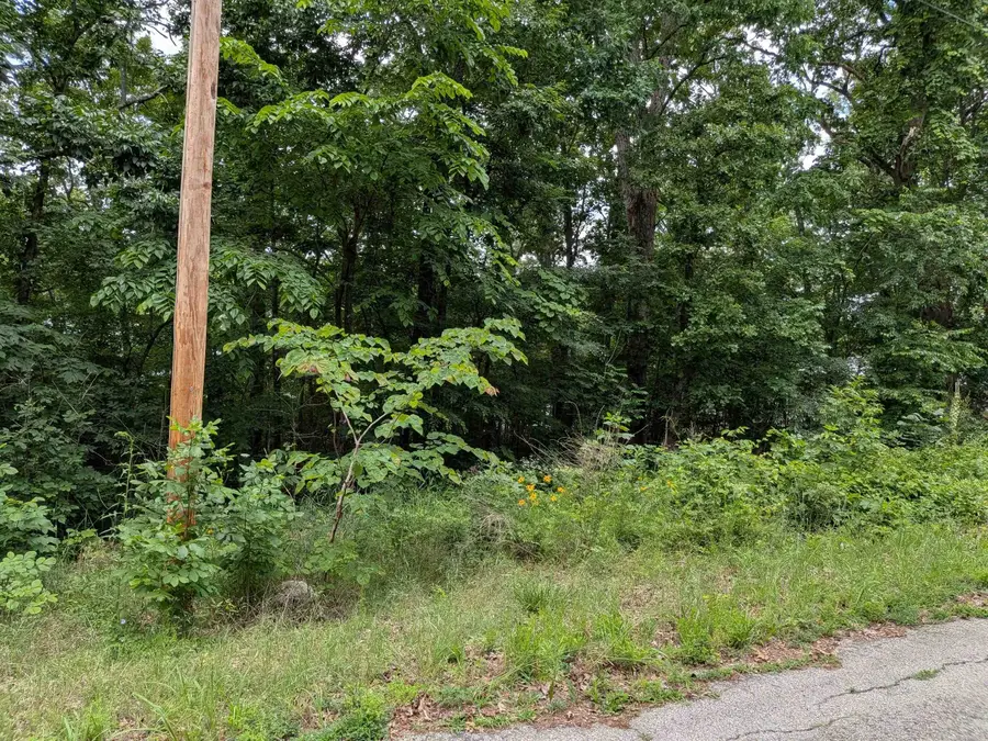 Lakeside Drive, Ozark Acres, AR 72482 - #2
