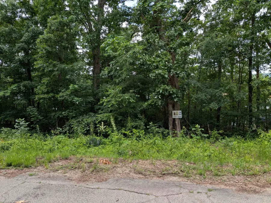 Lakeside Drive, Ozark Acres, AR 72482 - #3
