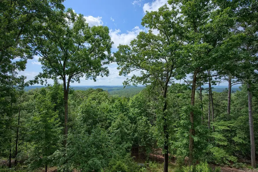 31 Derecho Way, Hot Springs Village, AR 71909 - #2