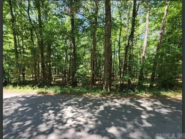 98 Murillo Way, Hot Springs Village, AR 71909 - #1