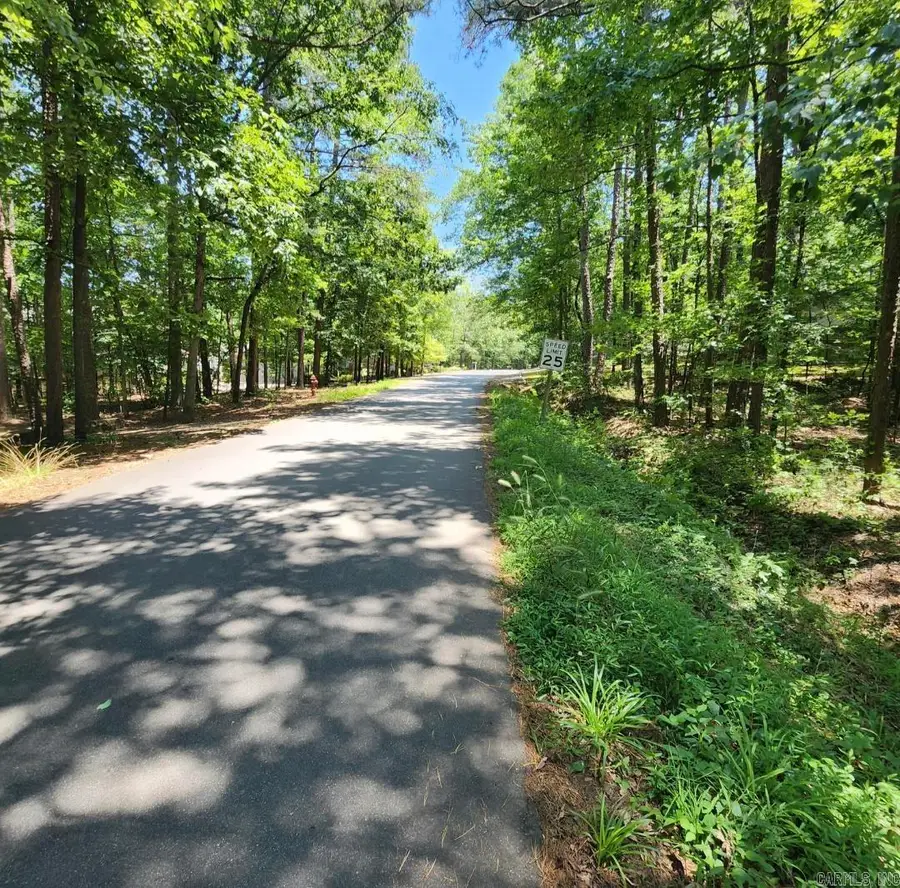 98 Murillo Way, Hot Springs Village, AR 71909 - #2