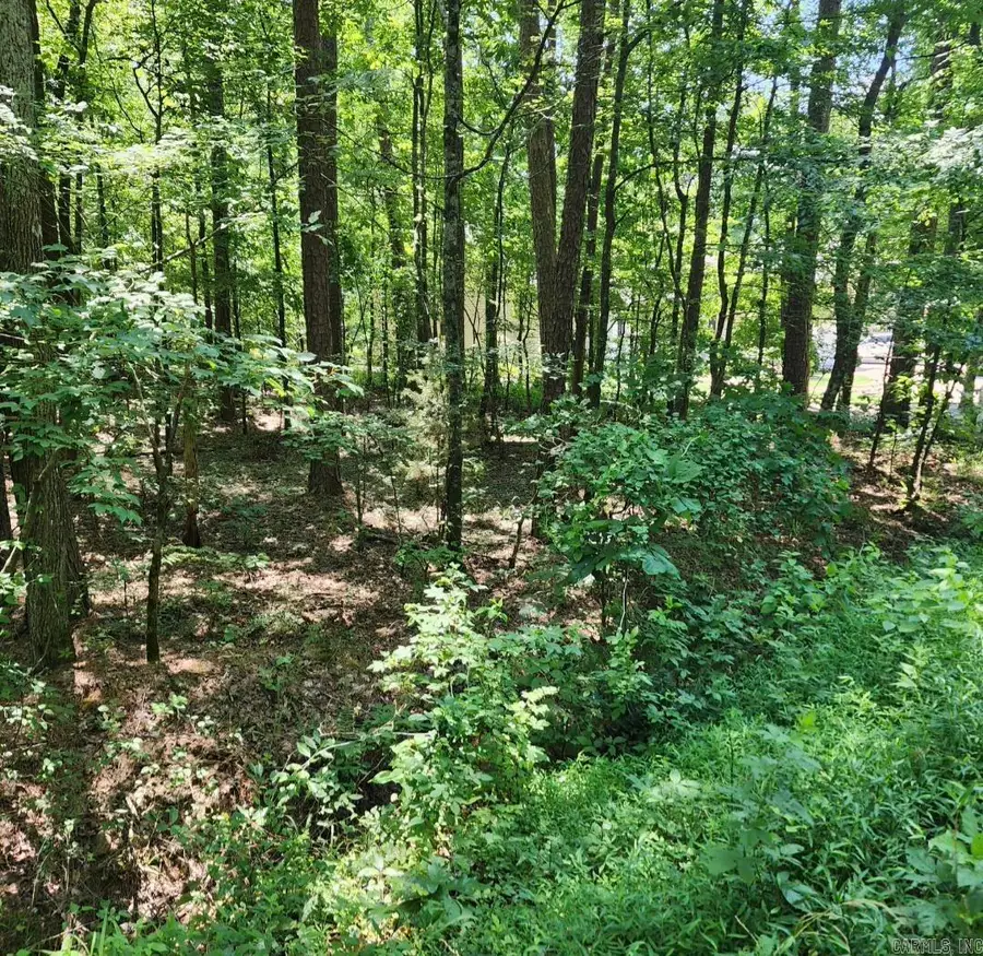 98 Murillo Way, Hot Springs Village, AR 71909 - #3
