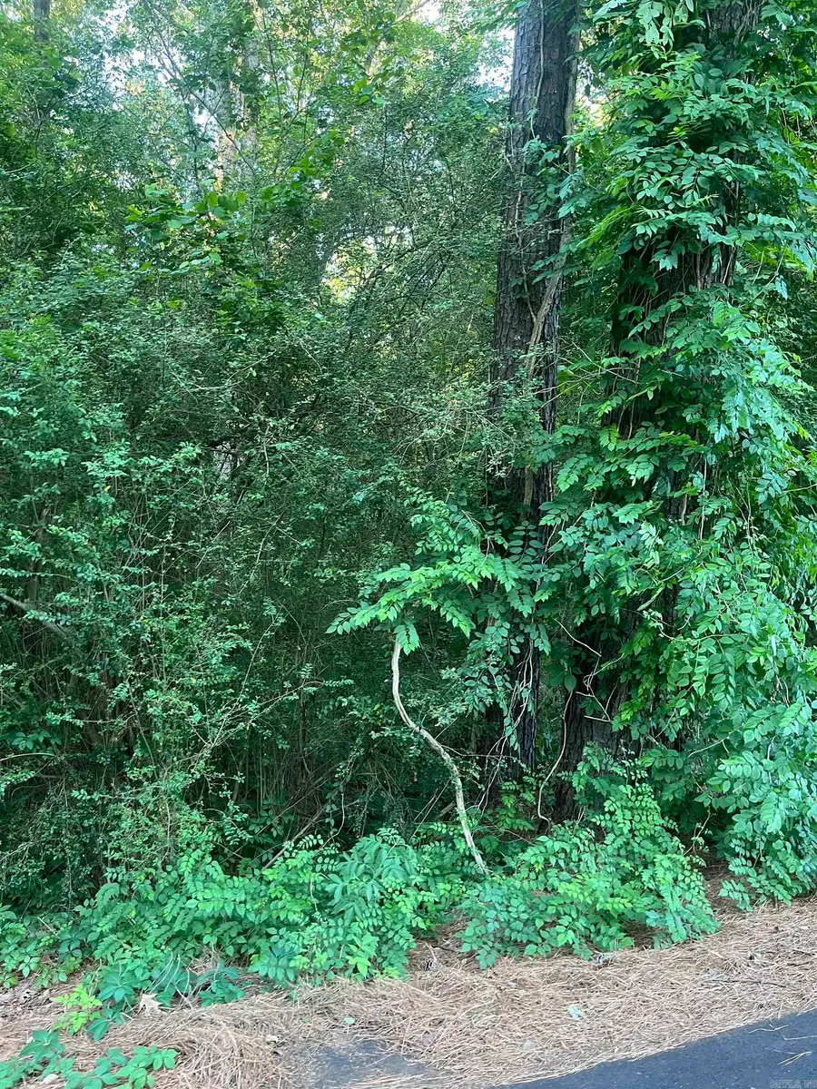 Lot 35 Tanglewood Ii, Monticello, AR 71655 - #3