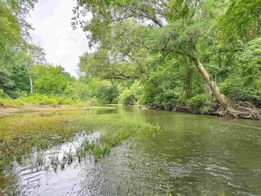 7135 Hwy 124, Quitman, AR 72131 - #3