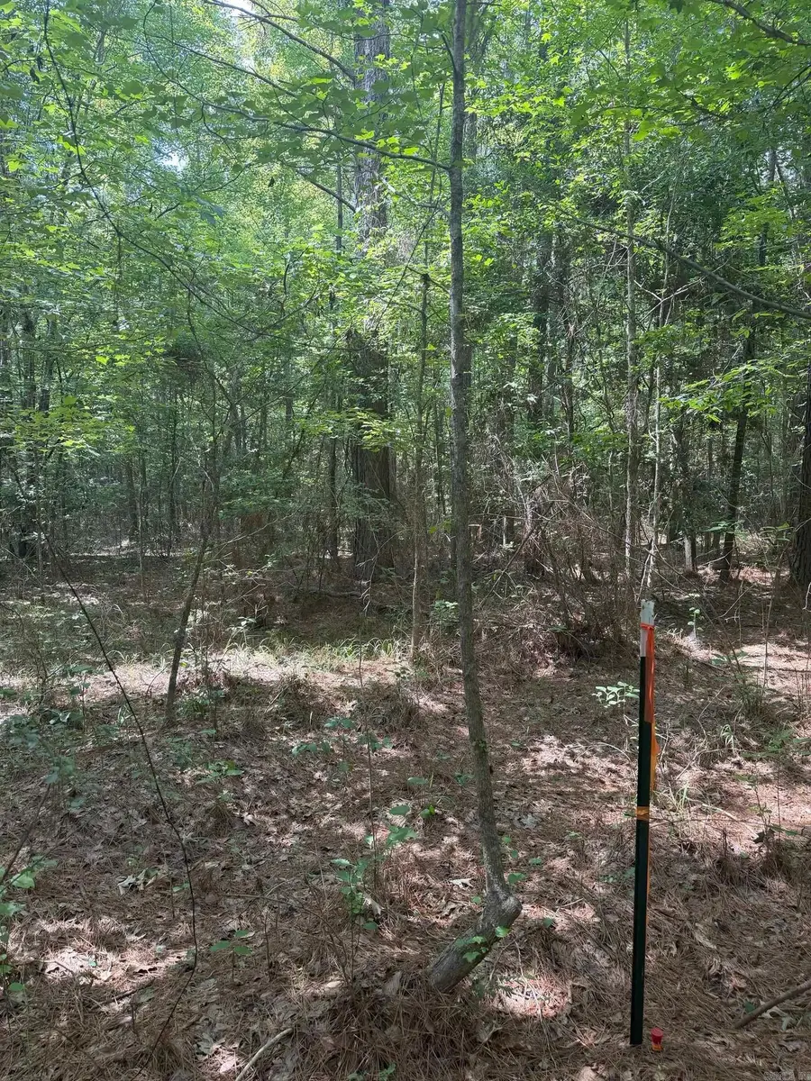 00 Alphin Road, El Dorado, AR 71730 - #3