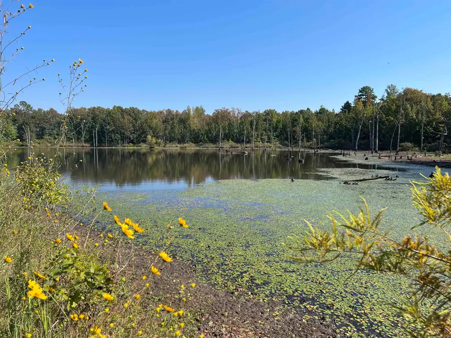 00 Lakeside Drive, Judsonia, AR 72081 - #3