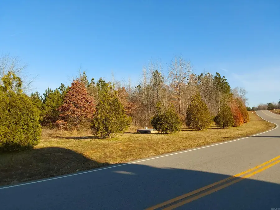 Lot 108 Parkway Trail Blvd, Bauxite, AR 72011 - #2