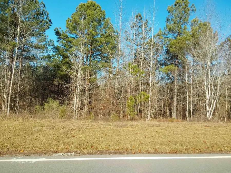 Lot 108 Parkway Trail Blvd, Bauxite, AR 72011 - #3