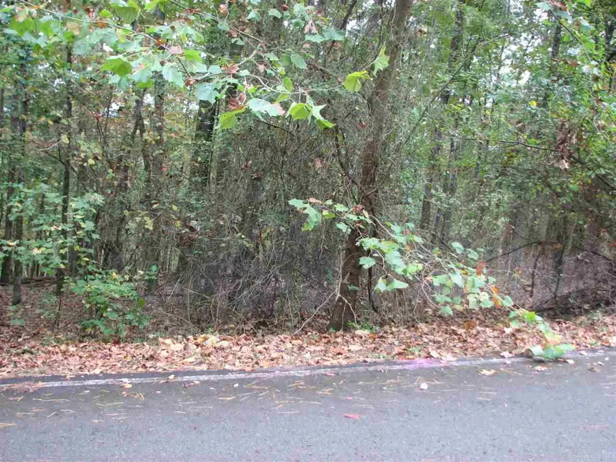 27 Lago Drive, Hot Springs Village, AR 71909 - #2
