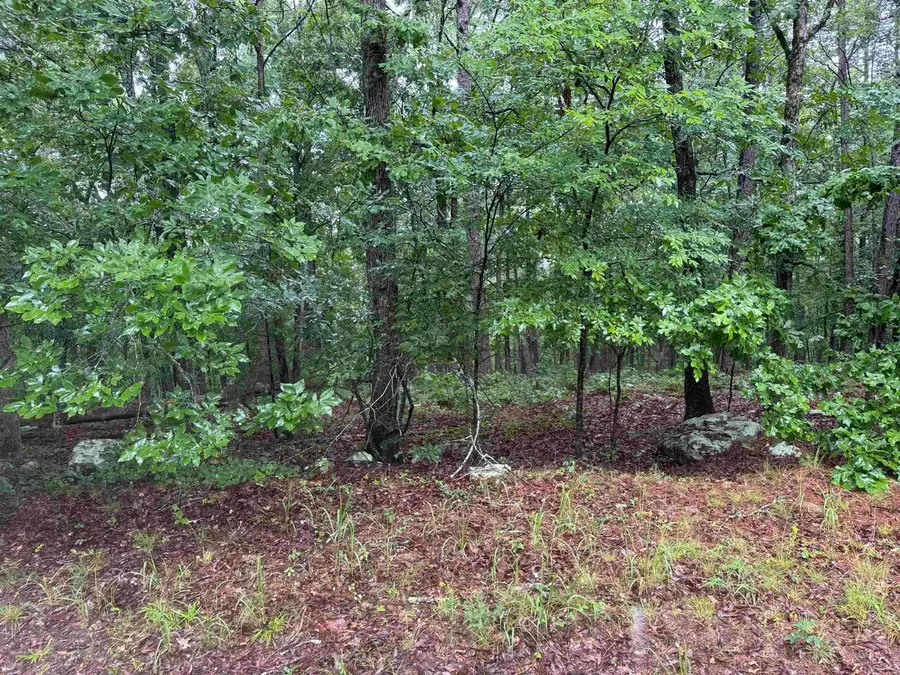 Lot 36 Vista Lane, Fairfield Bay, AR 72088 - #3