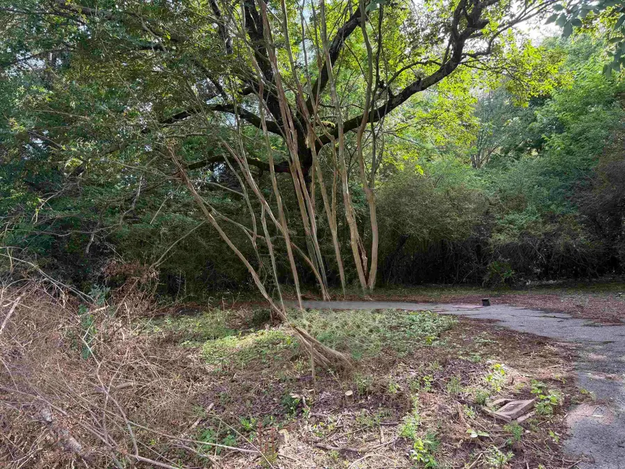 508 N Center, Heber Springs, AR 72543 - #3