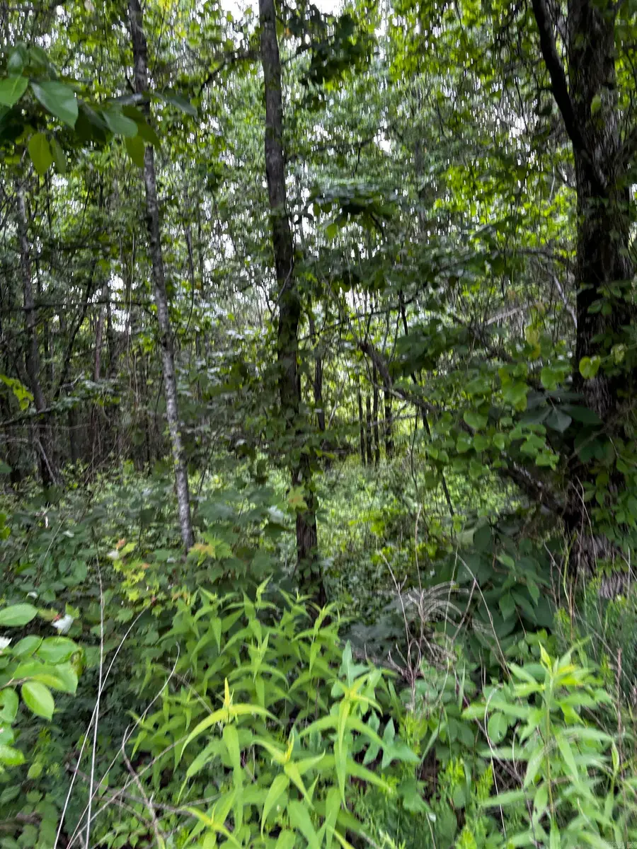 0000 N Highway 65, Clinton, AR 72031 - #3