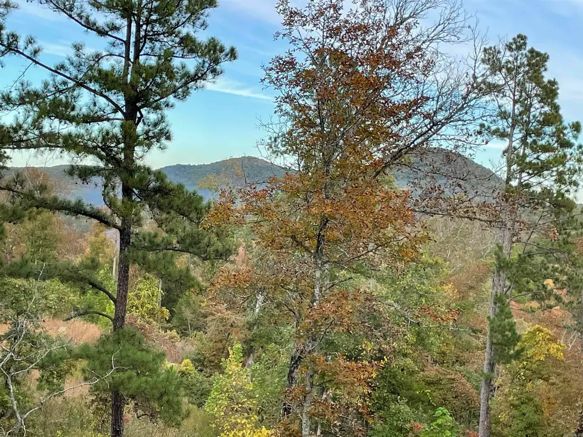 850 Jones Cemetery Road, Calico Rock, AR 72519 - #1