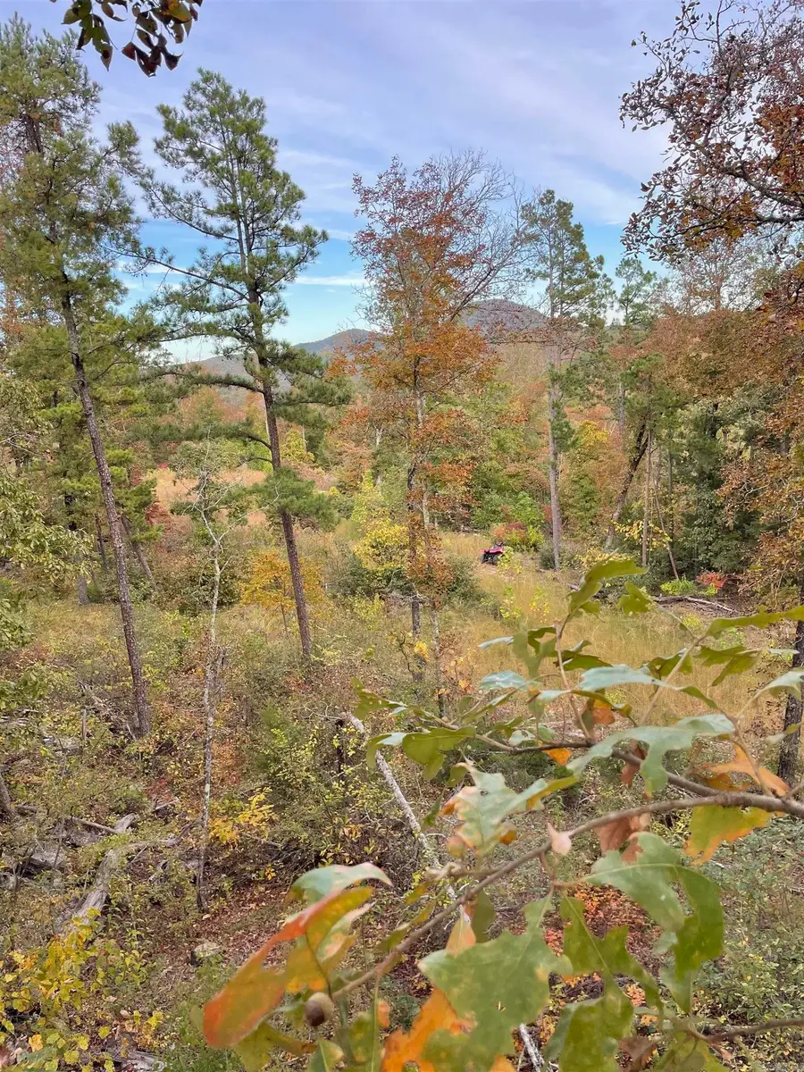 850 Jones Cemetery Road, Calico Rock, AR 72519 - #2
