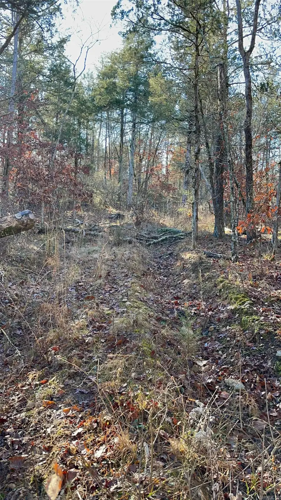 850 Jones Cemetery Road, Calico Rock, AR 72519 - #3