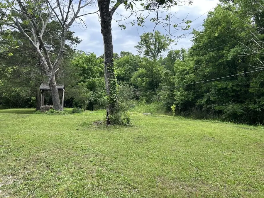 116 Evans Street, Mountain View, AR 72560 - #2