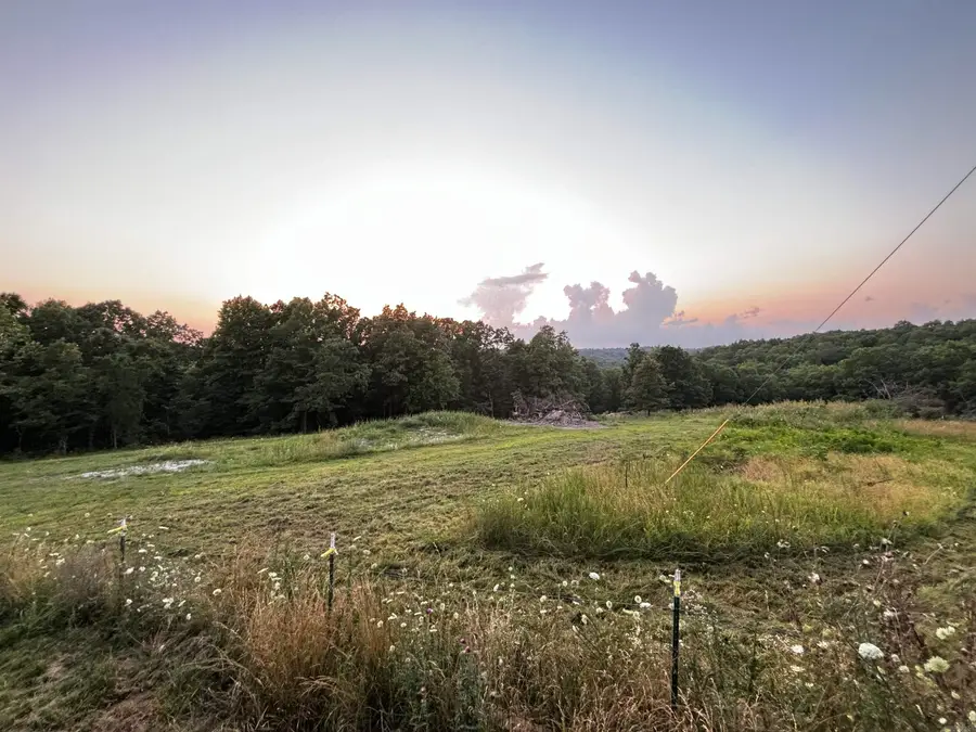 1717 Grassy Road, Marshall, AR 72650 - #2