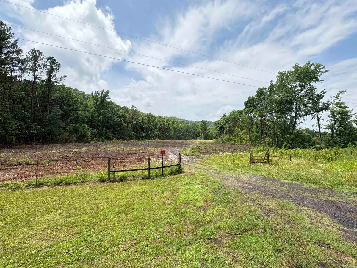 50.65 acres off Sr 164 W, Dover, AR 72837 - #1