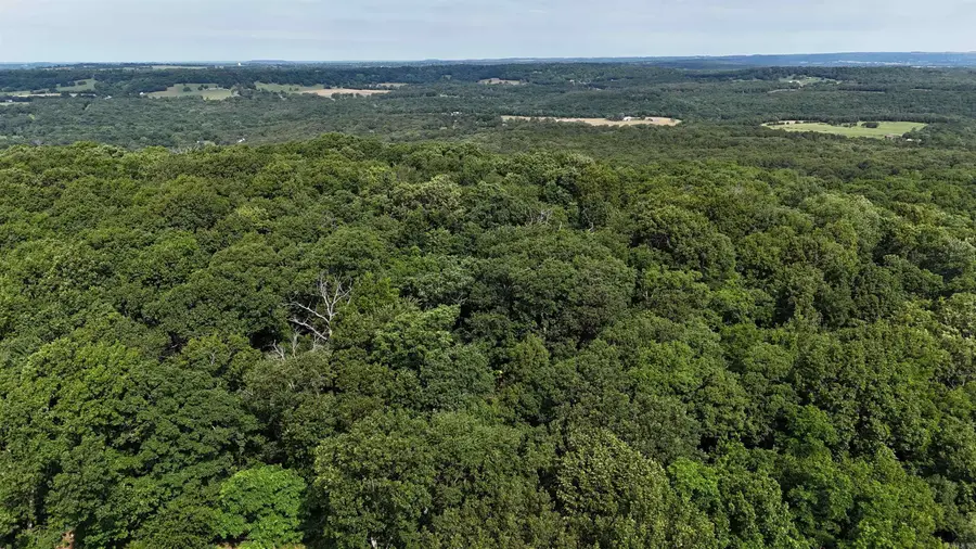 Address Withheld By Seller, Prairie Grove, AR 72753 - #3