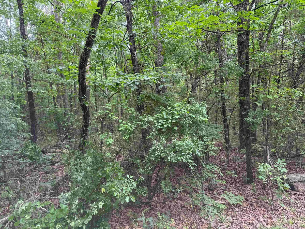 00 No. Broadway Street, Heber Springs, AR 72543 - #1