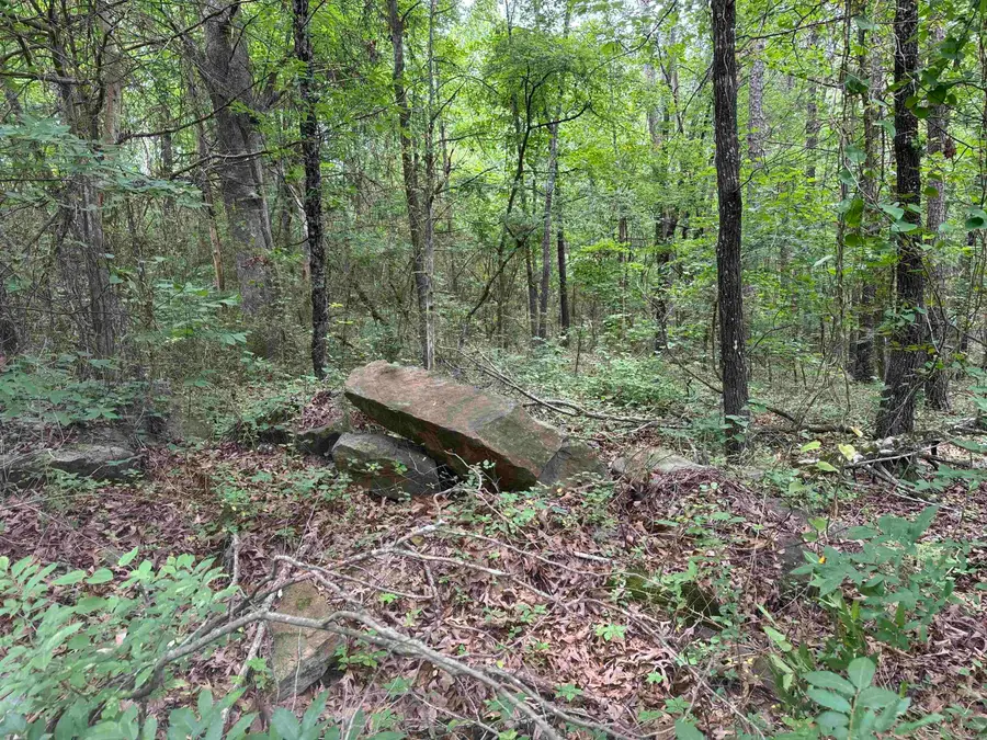 00 No. Broadway Street, Heber Springs, AR 72543 - #3