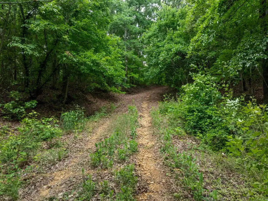 000 Bay Lane, Harrisburg, AR 72432 - #2