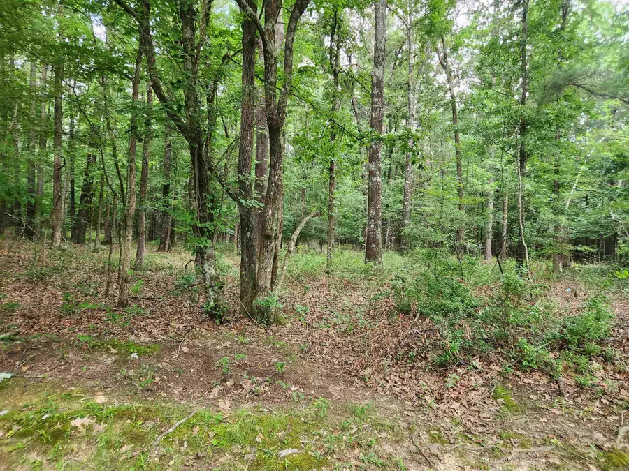 000 Roosevelt Drive, Star City, AR 71667 - #2