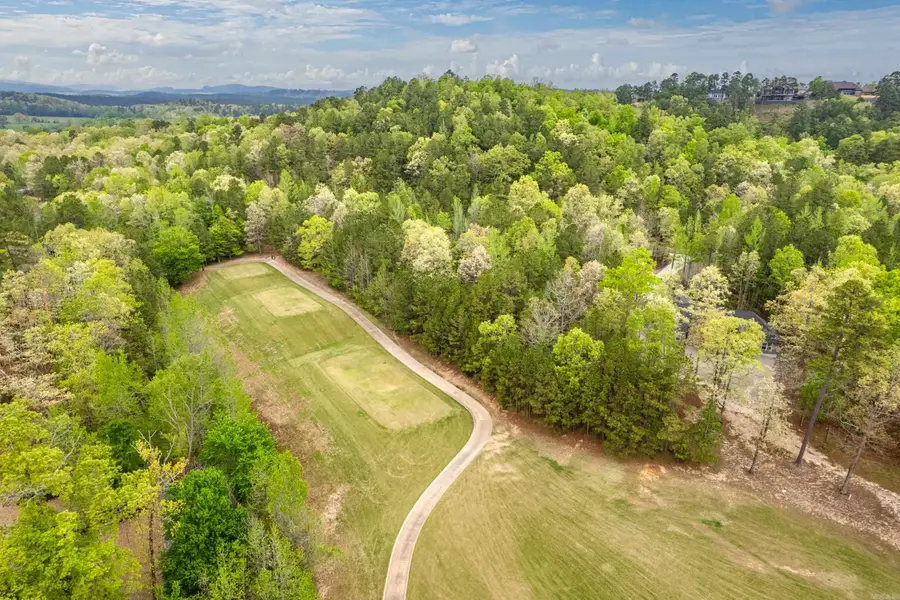 8 Largo Drive, Hot Springs Village, AR 71909 - #3