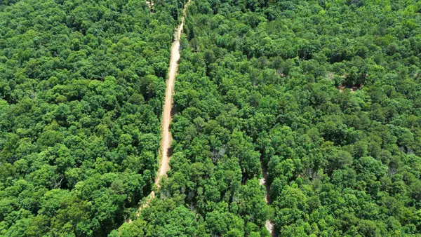 10 Lute Mountain Road, Shirley, AR 72513