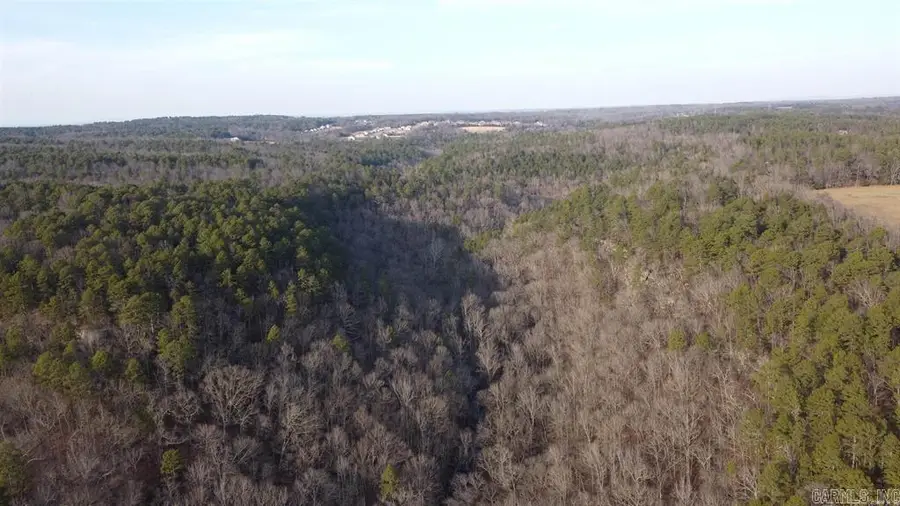 000 Pottsville Road, Pottsville, AR 72858 - #2