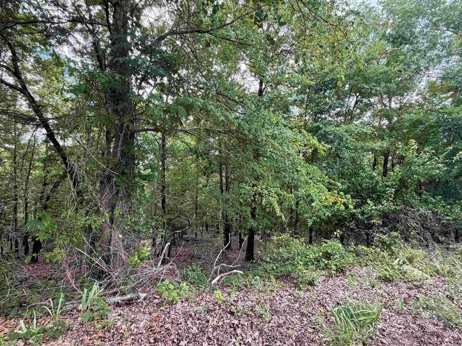 5 and 7 Binefar Trace, Hot Springs Village, AR 71909 - #2