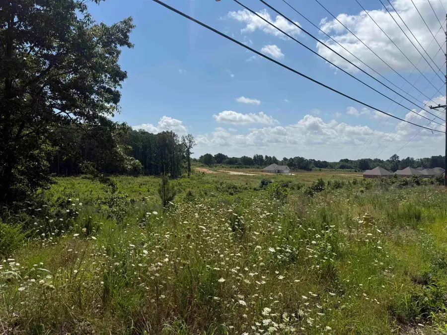 3.98 acres Mockingbird Lane, Paragould, AR 72450 - #2