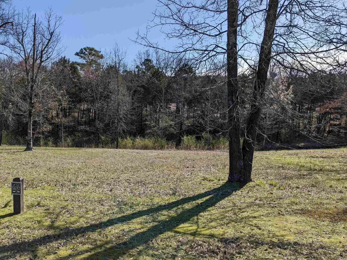 Lot 57 Brighton Pointe, Heber Springs, AR 72543 - #1