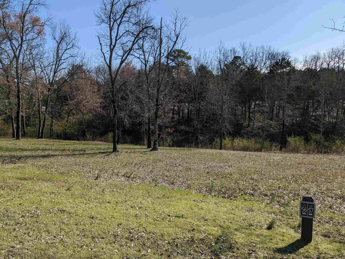 Lot 56 Brighton Pointe, Heber Springs, AR 72543 - #1