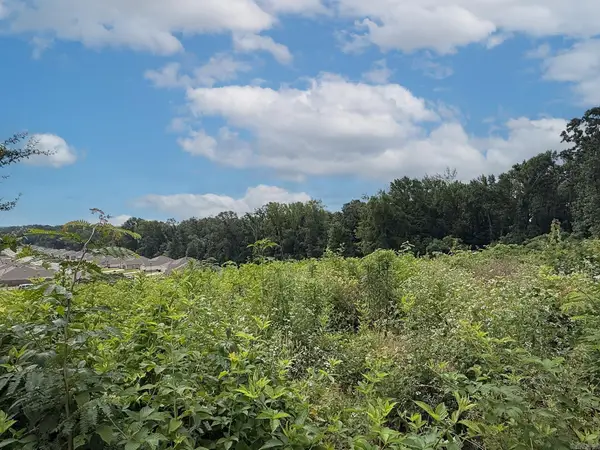 Lot 133 N Stagecoach Road, Ward, AR 72176