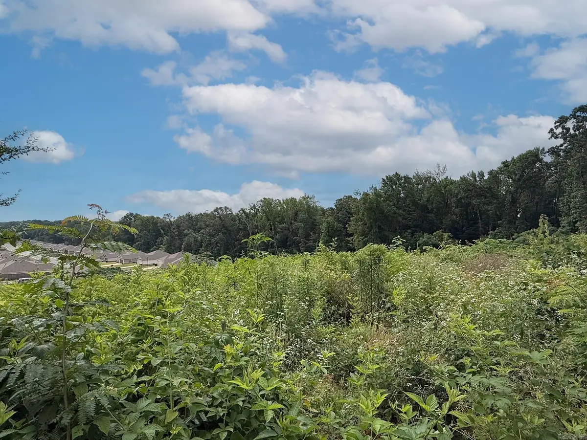 Lot 134 N Stagecoach Road, Ward, AR 72176 - #1