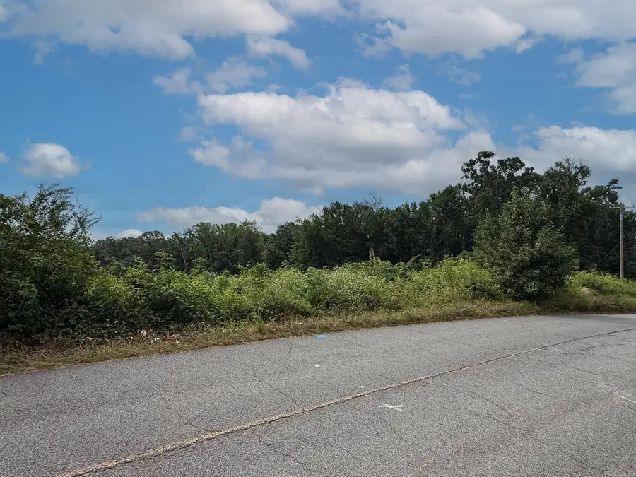 Lot 134 N Stagecoach Road, Ward, AR 72176 - #3