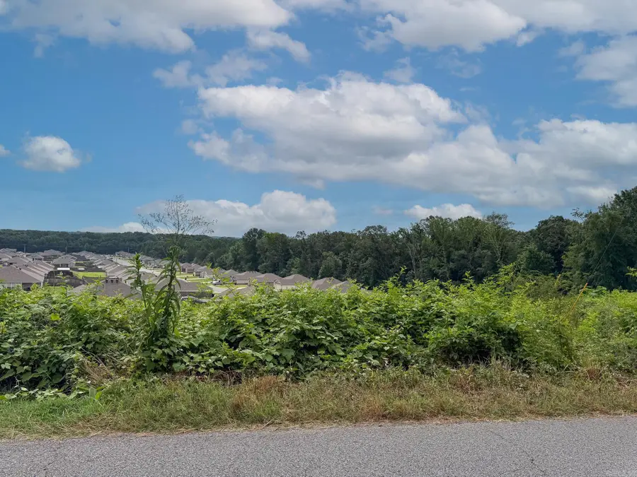 Lot 138 N Stagecoach Road, Ward, AR 72176 - #2