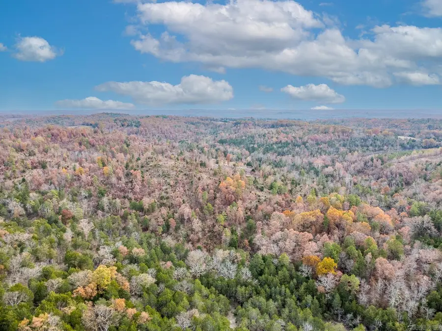 000 Kerley Point Cove Road, Elizabeth, AR 72531 - #3