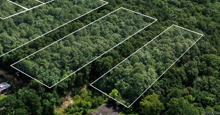 Blocks 10 & 19 Sunnymeadow/broadway, Heber Springs, AR 72543 - #3