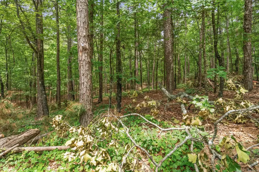 Lots 214/215 Sky King Road, Fairfield Bay, AR 72088 - #3