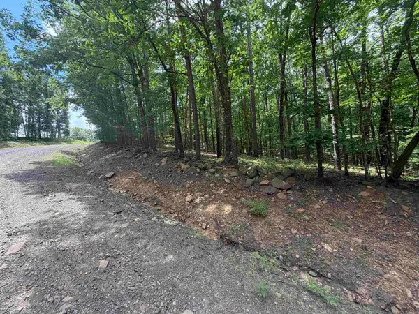 000 Greentree Road, Clinton, AR 72032
